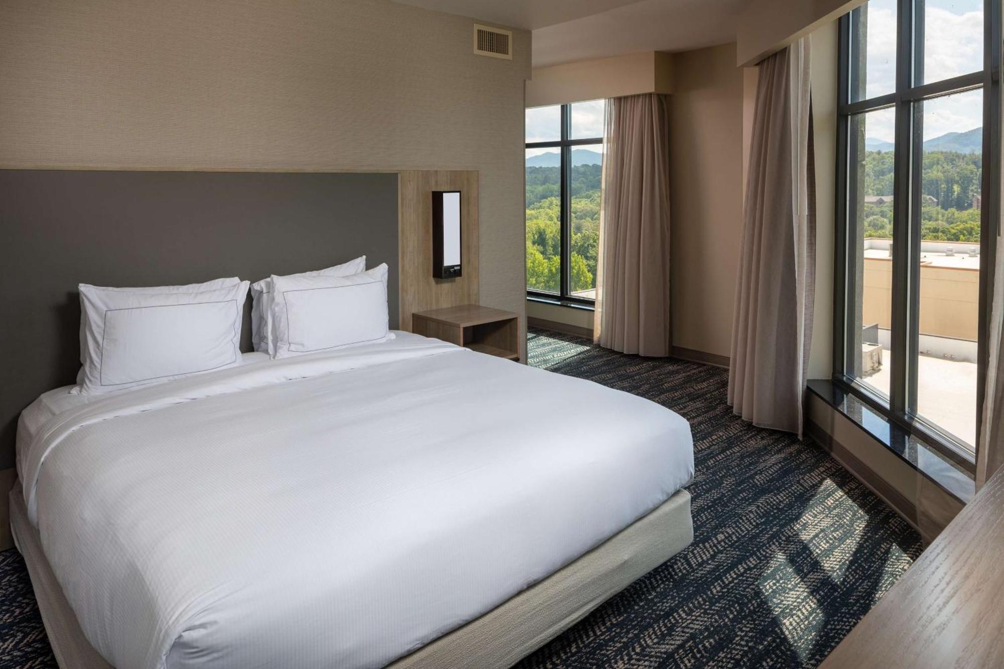 Hilton Asheville Biltmore Park Ngoại thất bức ảnh